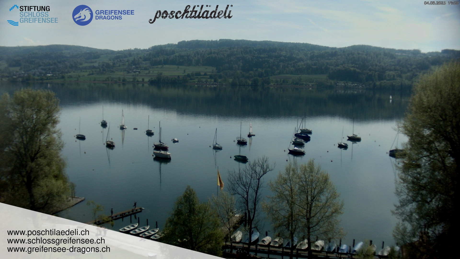 Greifensee Dragons Drachenboot und Stand up Paddling (SUP)